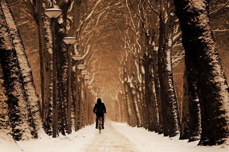 Die Zukunft des Radfahrens: Elektrische Innovationen